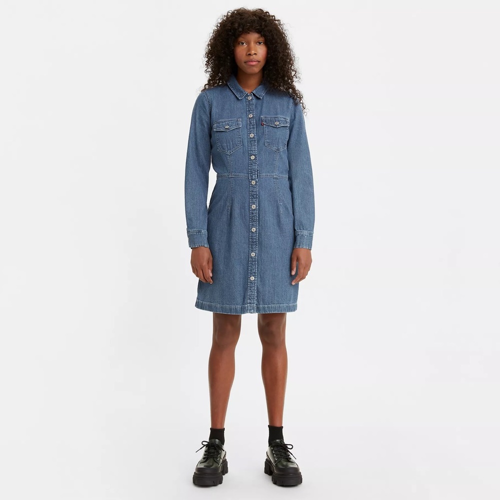 Ellie denim dress